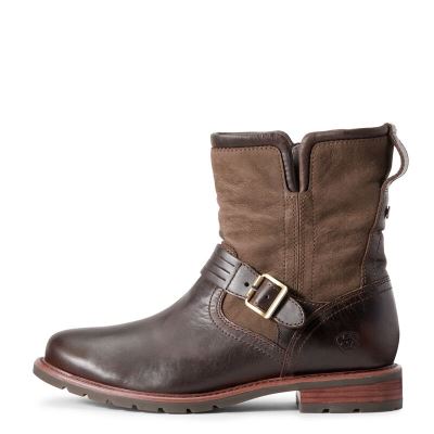 Ariat Savannah - Laarzen Chocola Dames - 34504-479